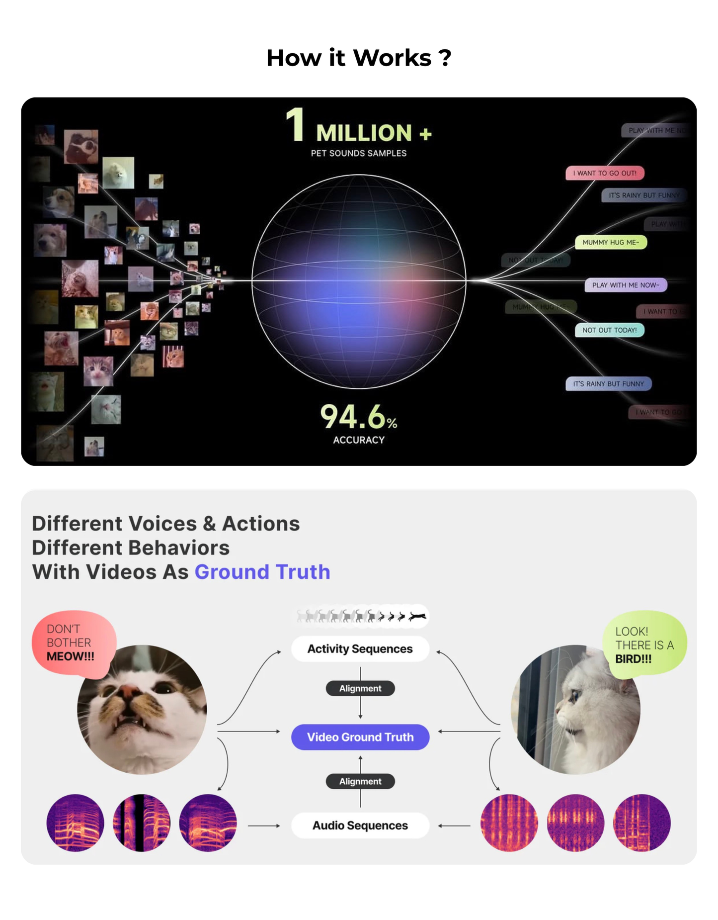 PettiChat AI Pet Translator