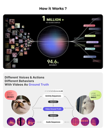 PettiChat AI Pet Translator