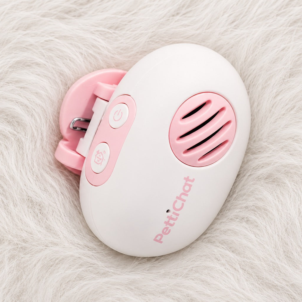Sweet Pink